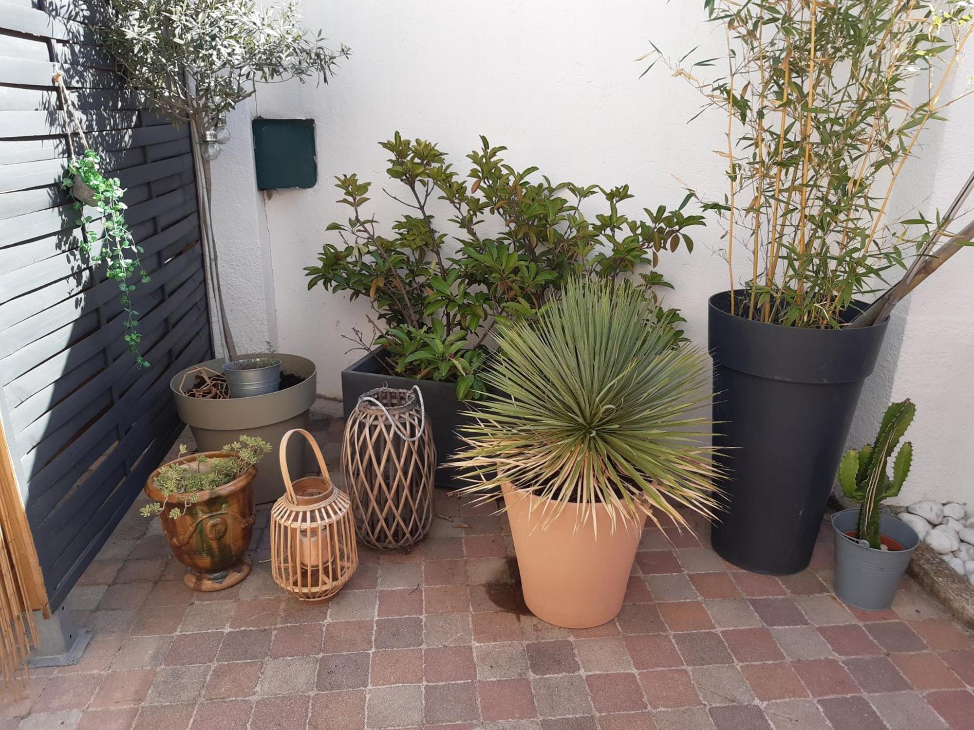 Grand Studio Avec Patio Marseille Ngoại thất bức ảnh
